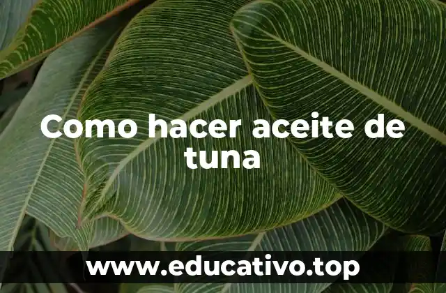 Como hacer aceite de tuna