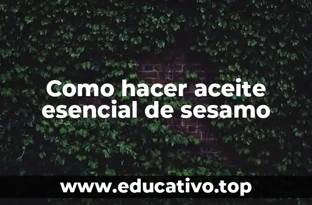 Como hacer aceite esencial de sesamo