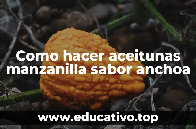 Como hacer aceitunas manzanilla sabor anchoa