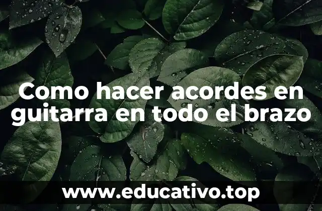 Como hacer acordes en guitarra en todo el brazo