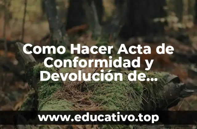 Como Hacer Acta de Conformidad y Devolución de Documento