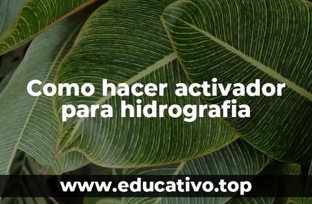 Como hacer activador para hidrografia