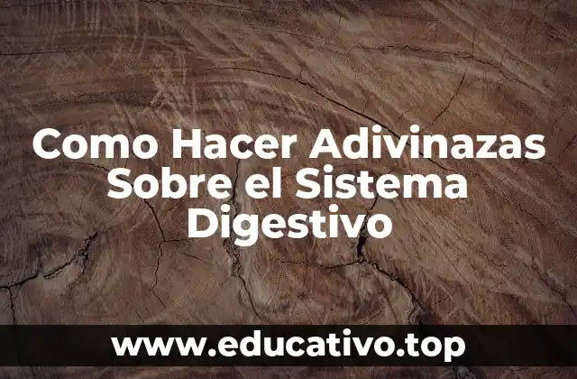 Como Hacer Adivinazas Sobre el Sistema Digestivo