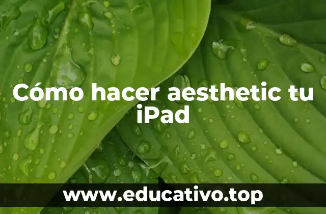 Cómo hacer aesthetic tu iPad