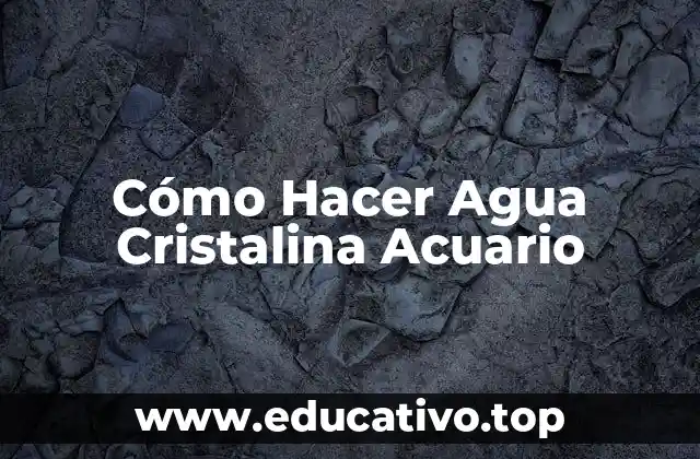 Cómo Hacer Agua Cristalina Acuario