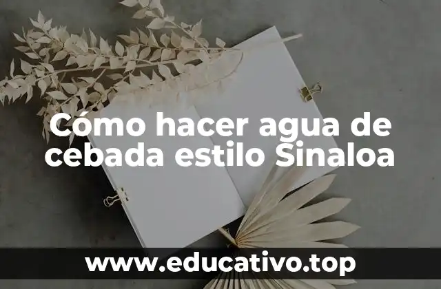 Cómo hacer agua de cebada estilo Sinaloa