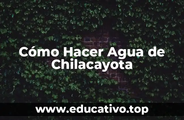 Cómo Hacer Agua de Chilacayota