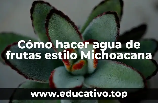 Cómo hacer agua de frutas estilo Michoacana