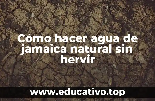 Cómo hacer agua de jamaica natural sin hervir