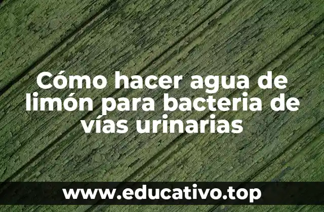 Cómo hacer agua de limón para bacteria de vías urinarias