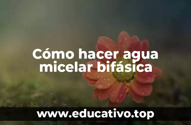 Cómo hacer agua micelar bifásica