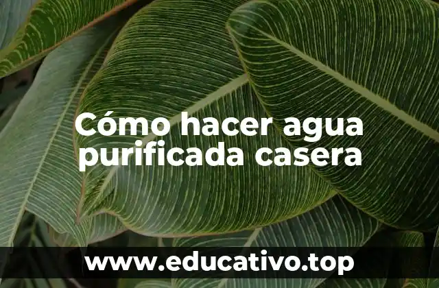 Cómo hacer agua purificada casera