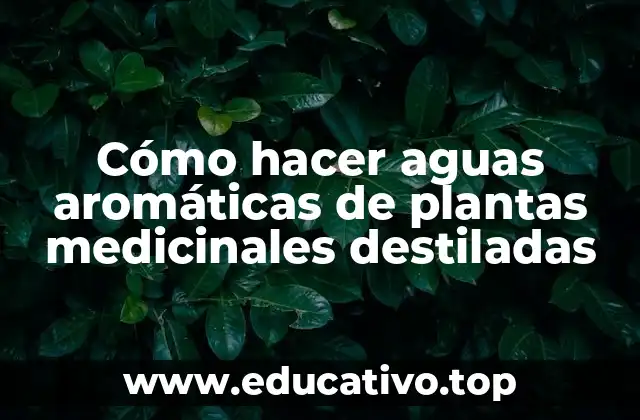 Cómo hacer aguas aromáticas de plantas medicinales destiladas