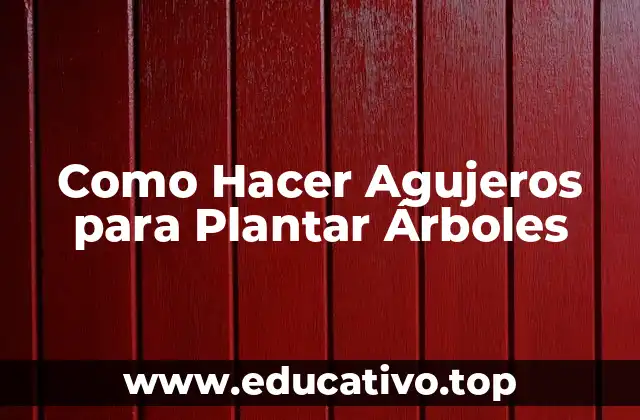 Como Hacer Agujeros para Plantar Árboles