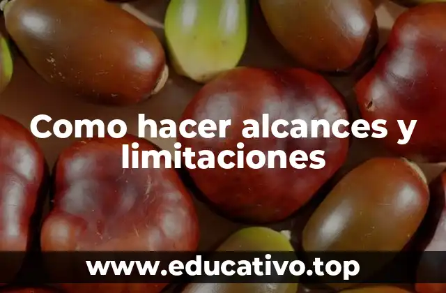 Como hacer alcances y limitaciones