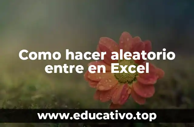 Como hacer aleatorio entre en Excel