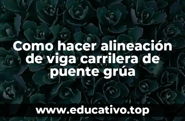 Como hacer alineación de viga carrilera de puente grúa