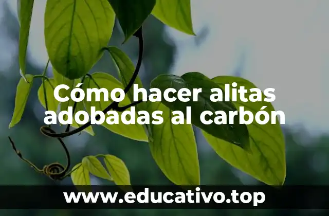 Cómo hacer alitas adobadas al carbón