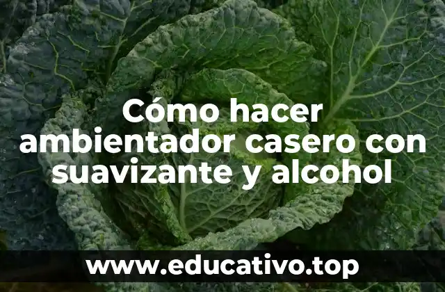 Cómo hacer ambientador casero con suavizante y alcohol