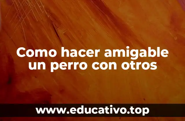 Como hacer amigable un perro con otros