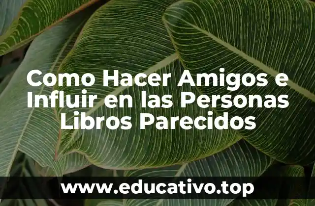 Como Hacer Amigos e Influir en las Personas Libros Parecidos