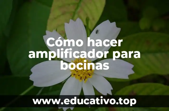 Cómo hacer amplificador para bocinas