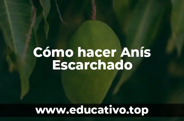 Cómo hacer Anís Escarchado