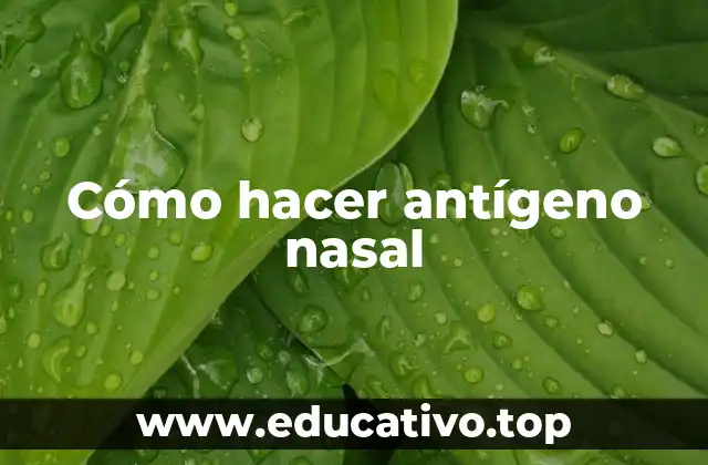 Cómo hacer antígeno nasal