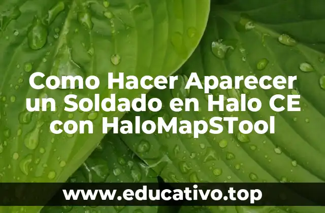 Como Hacer Aparecer un Soldado en Halo CE con HaloMapSTool