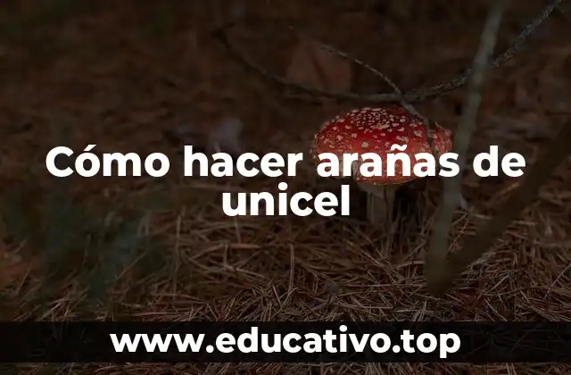 Cómo hacer arañas de unicel