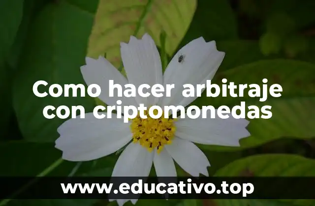 Como hacer arbitraje con criptomonedas
