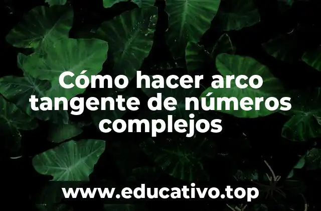 Cómo hacer arco tangente de números complejos