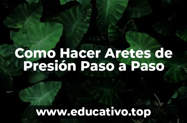 Como Hacer Aretes de Presión Paso a Paso