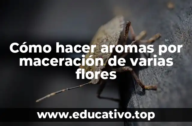 Cómo hacer aromas por maceración de varias flores