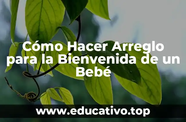 Cómo Hacer Arreglo para la Bienvenida de un Bebé