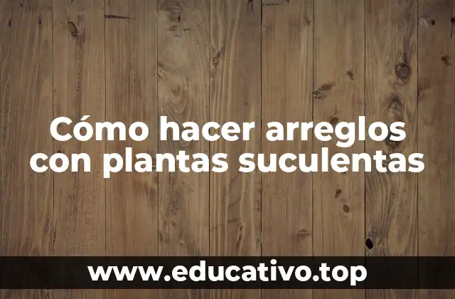 Cómo hacer arreglos con plantas suculentas