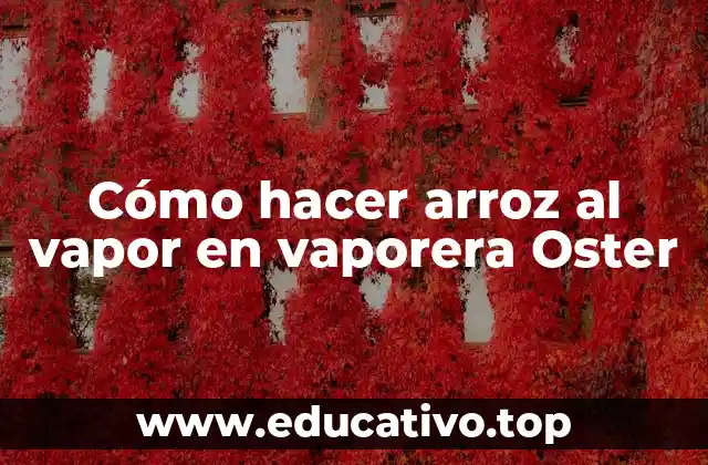 Cómo hacer arroz al vapor en vaporera Oster