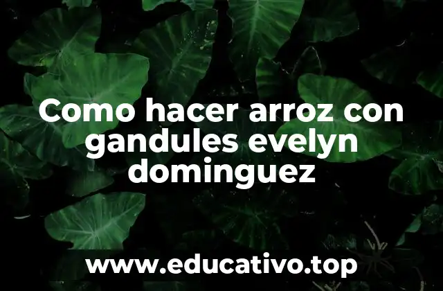 Como hacer arroz con gandules evelyn dominguez