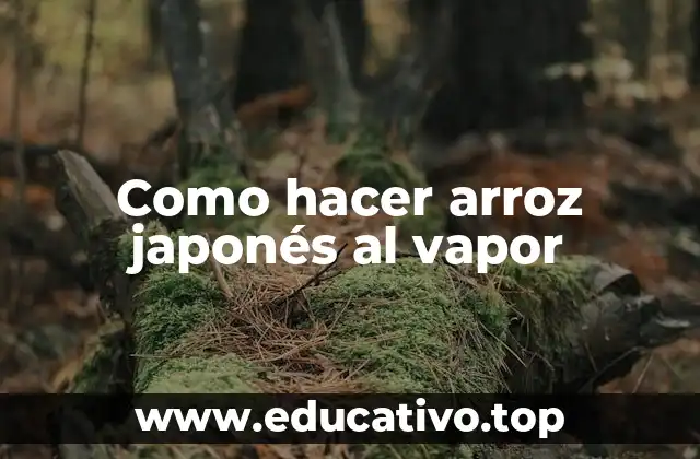 Como hacer arroz japonés al vapor