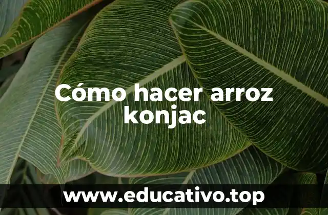 Cómo hacer arroz konjac