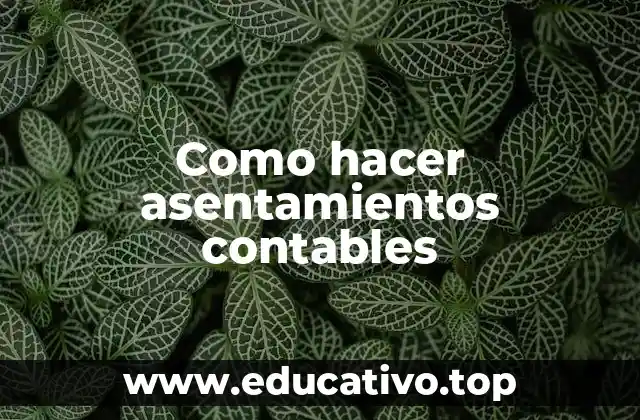 Como hacer asentamientos contables