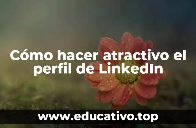 Cómo hacer atractivo el perfil de LinkedIn