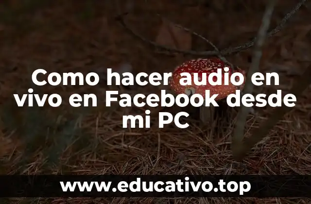 ¿Qué es Facebook Live y para qué sirve?