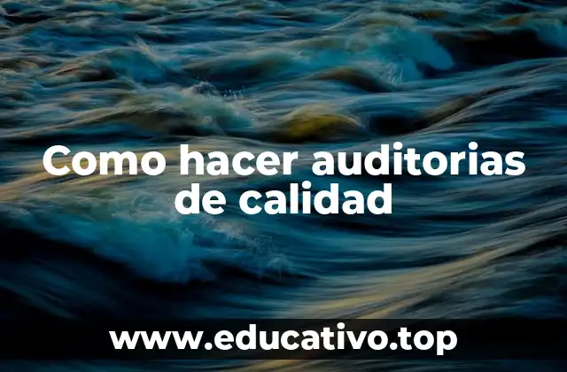 Como hacer auditorias de calidad