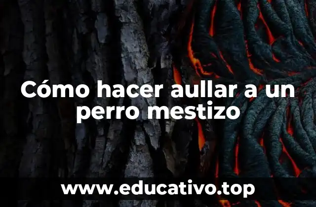 Cómo hacer aullar a un perro mestizo