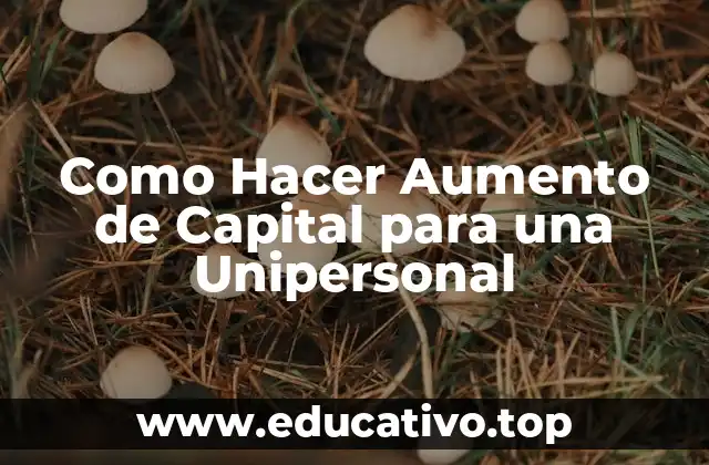 Como Hacer Aumento de Capital para una Unipersonal