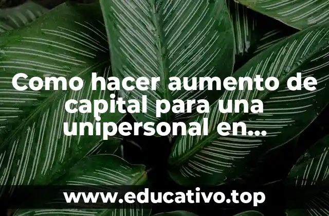 Como hacer aumento de capital para una unipersonal en Paraguay