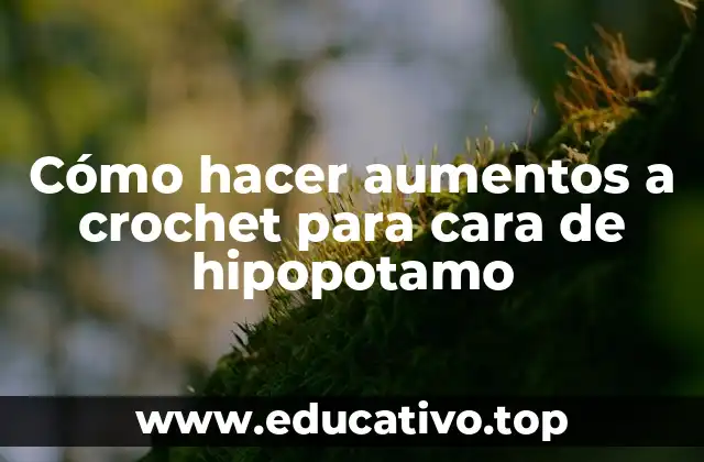 Cómo hacer aumentos a crochet para cara de hipopotamo