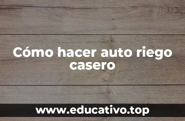 Cómo hacer auto riego casero