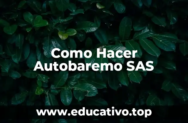 Como Hacer Autobaremo SAS
